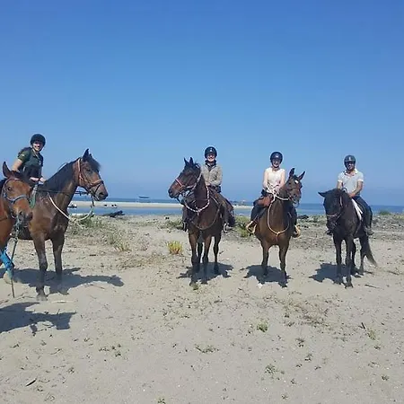 Merlo 2 Mare&parking