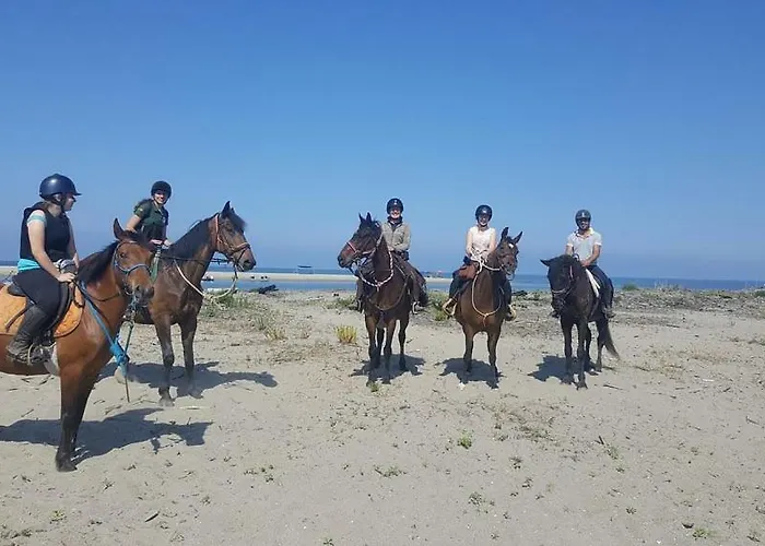 Merlo 2 Mare&parking